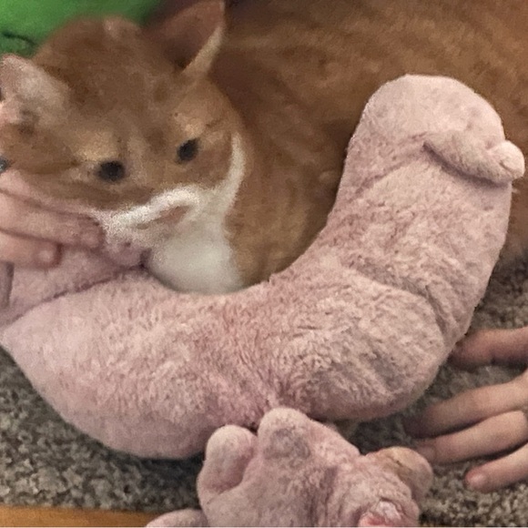 Meet your Posher, Mia grace - Picture 2 of 3